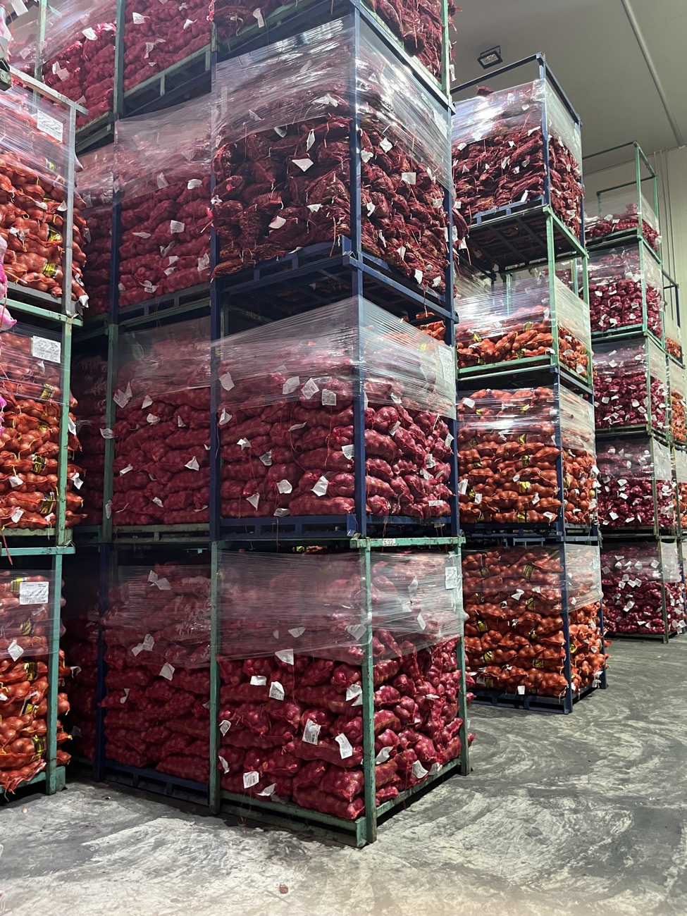 Wholesale onions in bulk at SC Wholesale Klang